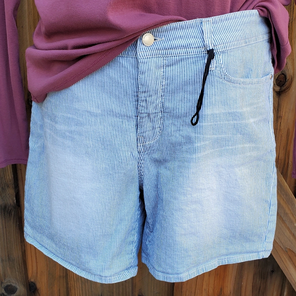 NWOT Workshop striped  shorts size 10